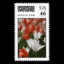 Tulip Festival postage