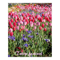 Tulip festival posters