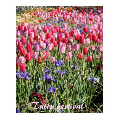 Tulip festival print by ashroc