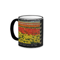 Tulip Field and Voltaire Quote Mugs