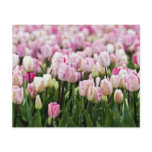 tulip field flyers