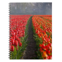 Tulip Field Journal