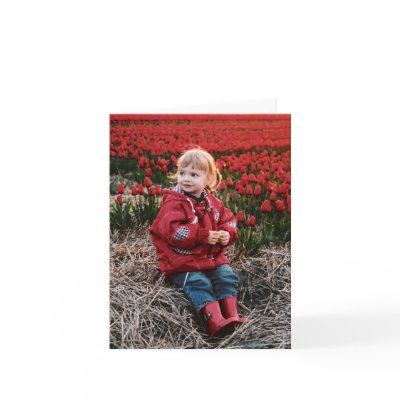 Tulip Field notecards by photoinspiration