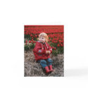 Tulip Field notecards by photoinspiration Tulip Field notecards