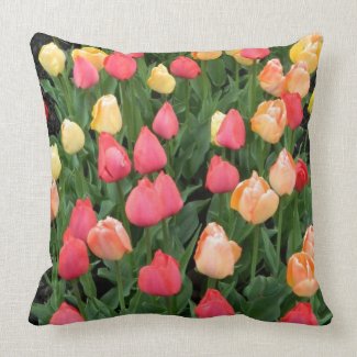Tulip Field Pillow