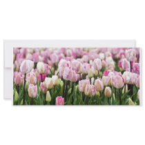 tulip field rack cards by fotowino tulip field rack cards