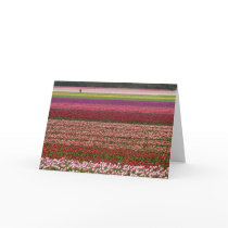Tulip fields inspiration card