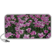Tulip Fields speakers
