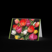 Tulip Fireworks cards