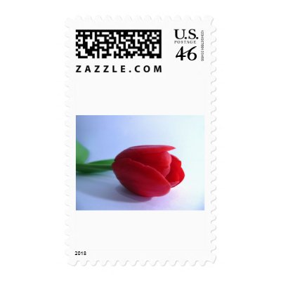 Tulip Flower Postage Stamp by lifesphere