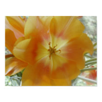 tulip flower posters by sbkerrick tulip flower posters