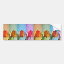 TULIP Flower Show Bumper Stickers