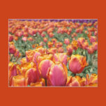 nature postcard, nature postcards, office