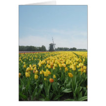 Tulip Flowers Field and Windmill Card
