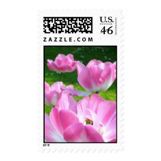 Tulip flowers stamp