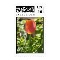 Tulip Garden 1 Stamp
