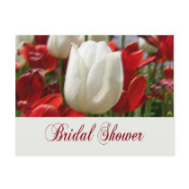 Tulip Garden Bridal Shower Invites postcards
