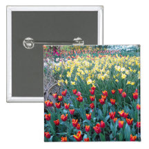 Tulip Garden Buttons