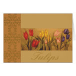 note, cards, tulips, spring garden, floral