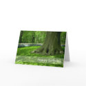 Tulip Garden DSC0825 cards