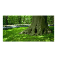Tulip Garden DSC0825 Photo Greeting Card