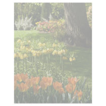 Tulip Garden DSC0838 letterhead