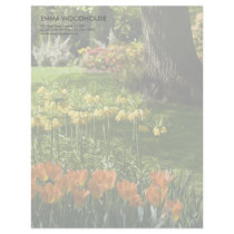 Tulip Garden DSC0838 letterhead