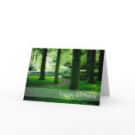 Tulip Garden DSC0849 Greeting Card
