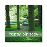 Tulip Garden DSC0849 Refrigerator Magnet