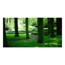 Tulip Garden DSC0849 Photo Greeting Card