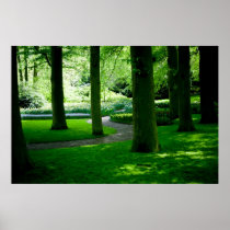 Tulip Garden DSC0849 Posters