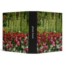 Tulip Garden DSC0850 binders