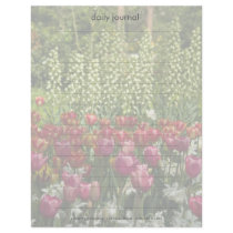 Tulip Garden DSC0850 letterhead