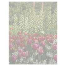 Tulip Garden DSC0850 letterhead