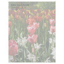 Tulip Garden DSC0855 Letterhead Template