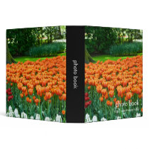 Tulip Garden DSC0861 binders