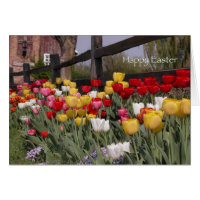 Tulip Garden Easter Card