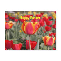 Tulip Garden Easter Postcard