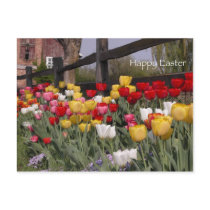 Tulip Garden Easter Postcard