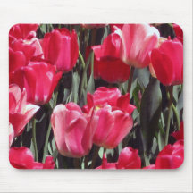 Tulip Garden Mousepads