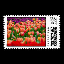 Tulip Garden postage by kokobaby Tulip Garden postage