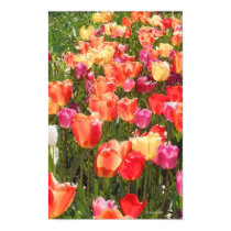 Tulip Garden posters