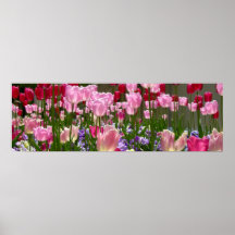 Tulip Garden Print
