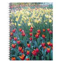 Tulip Garden Spiral Notebooks