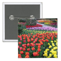 Tulip Gardens Button