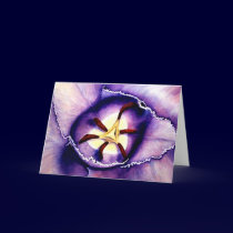 Tulip Greeting Card