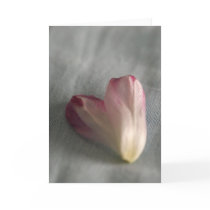 Tulip Heart cards
