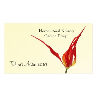 Tulip Horticultural business card