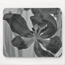 Tulip in Black and White Mousepad