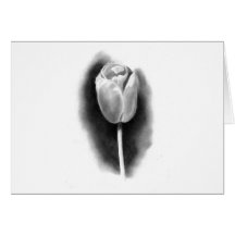 TULIP IN PENCIL: REALISM ART GREETING CARD